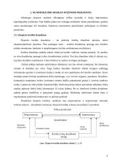 Neapmokėjimo rizika tarptautiniuose atsiskaitymuose 9 puslapis