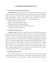 Nedarbas ir jo problemos Lietuvoje 16 puslapis