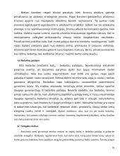 Nedarbas ir jo problemos Lietuvoje 18 puslapis