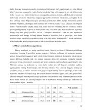 Nedarbas ir jo problemos Lietuvoje 19 puslapis
