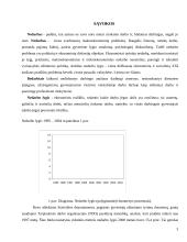 Nedarbas ir jo problemos Lietuvoje 3 puslapis