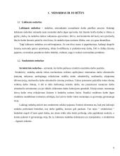 Nedarbas ir jo problemos Lietuvoje 6 puslapis