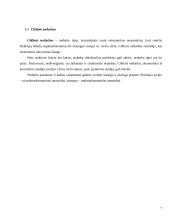 Nedarbas ir jo problemos Lietuvoje 7 puslapis