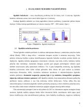 Nedarbas ir jo problemos Lietuvoje 8 puslapis