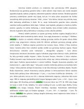 Nedarbas ir nedarbo priežastys 16 puslapis