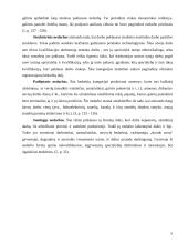 Nedarbas ir nedarbo priežastys 4 puslapis