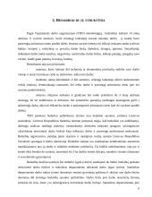 Nedarbas ir nedarbo priežastys 5 puslapis