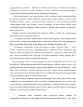 Nedarbas ir nedarbo priežastys 9 puslapis