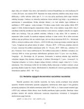 Nedarbo ekonominės pasekmės Lietuvoje 12 puslapis