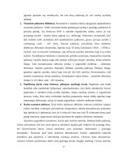 Nedarbo ekonominės pasekmės Lietuvoje 17 puslapis