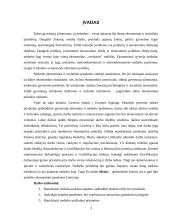 Nedarbo ekonominės pasekmės Lietuvoje 3 puslapis
