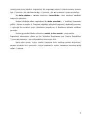 Neįgaliųjų socialinė integracija Lietuvoje 4 puslapis