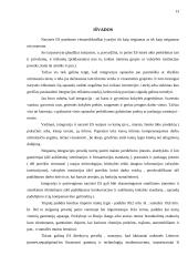 Neigiami Lietuvos stojimo į Europos Sąjungą (ES) aspektai 11 puslapis