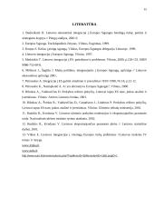 Neigiami Lietuvos stojimo į Europos Sąjungą (ES) aspektai 13 puslapis