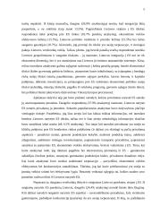 Neigiami Lietuvos stojimo į Europos Sąjungą (ES) aspektai 3 puslapis