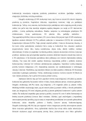 Neigiami Lietuvos stojimo į Europos Sąjungą (ES) aspektai 4 puslapis