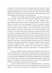 Neigiami Lietuvos stojimo į Europos Sąjungą (ES) aspektai 5 puslapis