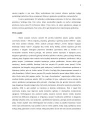 Neigiami Lietuvos stojimo į Europos Sąjungą (ES) aspektai 7 puslapis