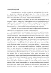 Neigiami Lietuvos stojimo į Europos Sąjungą (ES) aspektai 9 puslapis