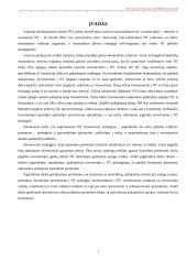 Nekilnojamo turto plėtotės strategija 2 puslapis