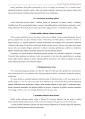 Nekilnojamo turto plėtotės strategija 11 puslapis