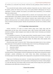 Nekilnojamo turto plėtotės strategija 13 puslapis