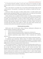 Nekilnojamo turto plėtotės strategija 14 puslapis