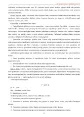 Nekilnojamo turto plėtotės strategija 16 puslapis
