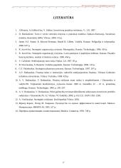 Nekilnojamo turto plėtotės strategija 18 puslapis