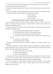Nekilnojamo turto plėtotės strategija 4 puslapis