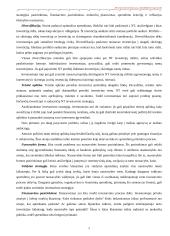 Nekilnojamo turto plėtotės strategija 6 puslapis
