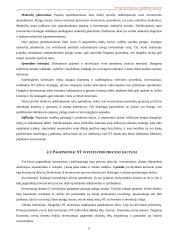 Nekilnojamo turto plėtotės strategija 7 puslapis