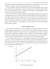 Nekilnojamo turto plėtotės strategija 9 puslapis