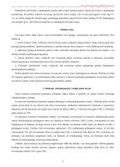 Nekilnojamo turto plėtotės strategija 10 puslapis