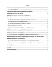 Nematerialiojo turto apskaita 2 puslapis