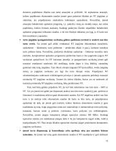 Nematerialiojo turto apskaita 12 puslapis
