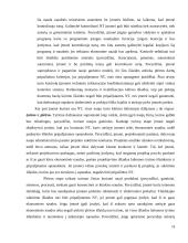 Nematerialiojo turto apskaita 13 puslapis