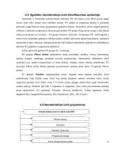 Nematerialiojo turto apskaita 15 puslapis