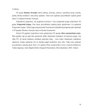 Nematerialiojo turto apskaita 16 puslapis