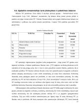 Nematerialiojo turto apskaita 17 puslapis
