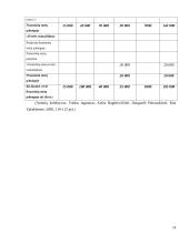 Nematerialiojo turto apskaita 19 puslapis