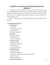Nematerialiojo turto apskaita 20 puslapis