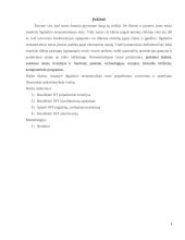 Nematerialiojo turto apskaita 3 puslapis