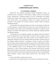 Nematerialiojo turto apskaita 4 puslapis