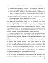 Nematerialiojo turto apskaita 5 puslapis