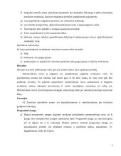 Nematerialiojo turto apskaita 9 puslapis