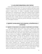 Nematerialiojo turto apskaita 10 puslapis