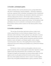 Nepilnamečių nusikaltimų socialiniai veiksniai, prevencija 11 puslapis