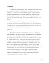 Nepilnamečių nusikaltimų socialiniai veiksniai, prevencija 5 puslapis