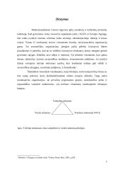 Nevyriausybinės organizacijos 2 puslapis